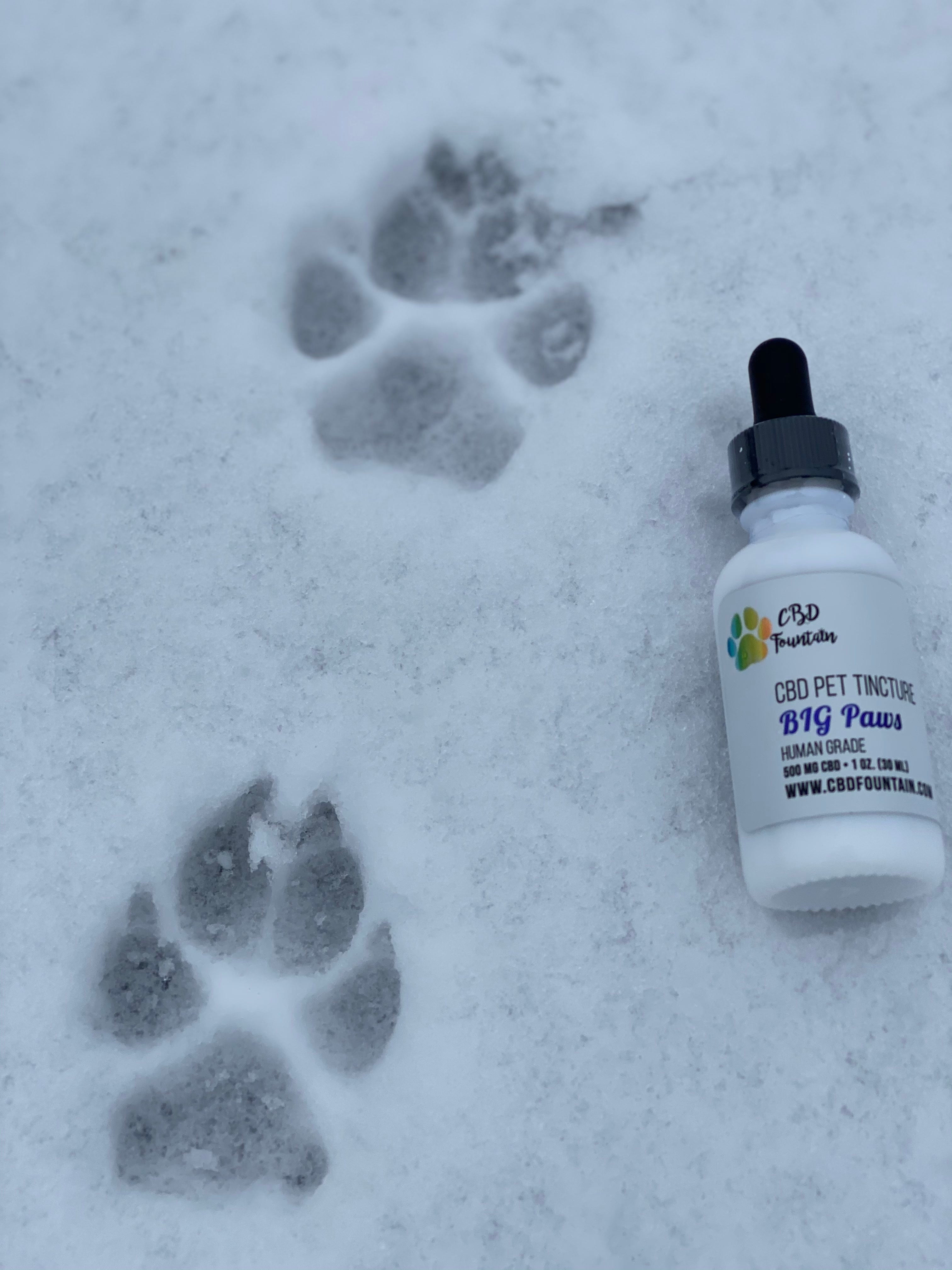 PAWS CBD Pet Tincture